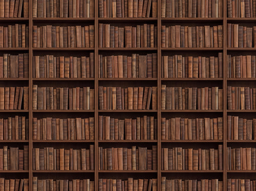 Clay Bookshelf Library Mural sample on the real paper