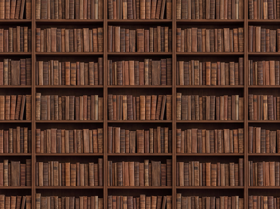 Clay Bookshelf Library Mural, preview of the area printed on your wall