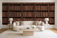 Clay Bookshelf Library Mural in a living room