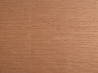 Clay Grasscloth Texture Mural design