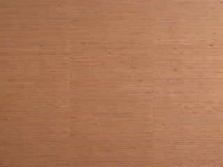 Clay Grasscloth Texture Mural sample