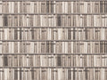 Cream Bookshelf Library Mural