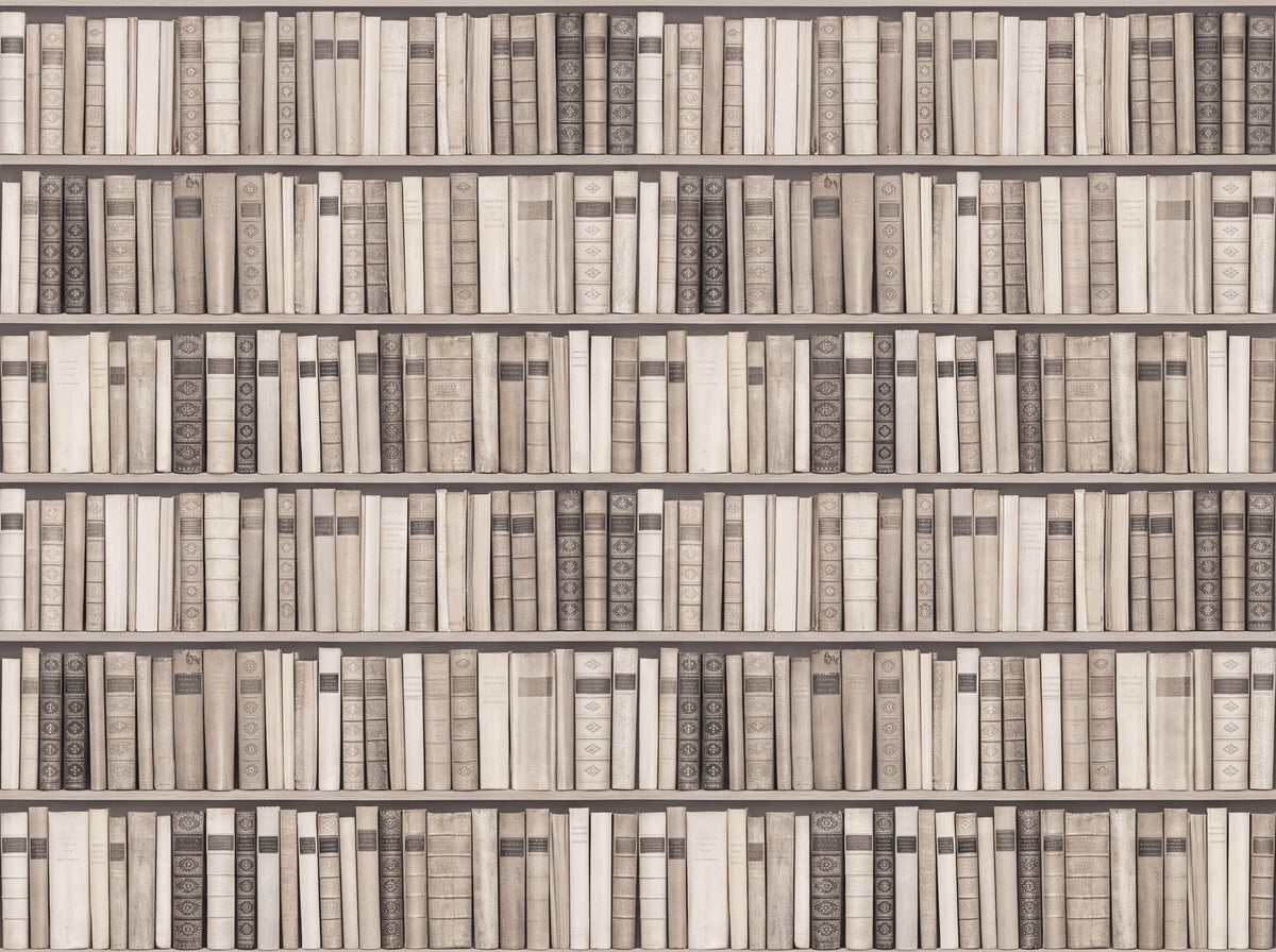 Cream Bookshelf Library Mural design