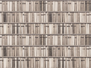Cream Bookshelf Library Mural sample