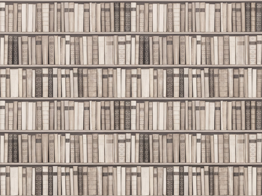 Cream Bookshelf Library Mural, preview of the area printed on your wall