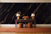 Black And Gold Marble Mural in an entryway