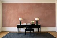 Terracotta Plaster Texture Mural in a home office