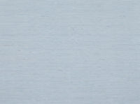 Light Blue Grasscloth Texture Mural design