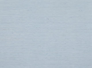 Light Blue Grasscloth Texture Mural sample