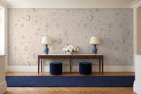 Grey Stars Celestial Mural in an entryway