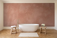 Terracotta Plaster Texture Mural in a bathroom