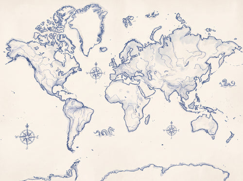 Blue And White World Map Map Mural sample on the real paper