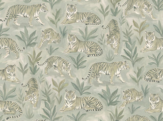 Shere, Fern sample