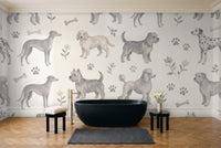 Basset, Stone in a bathroom