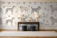 Basset, Stone in an entryway