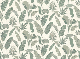 Glasshouse, Sage sample