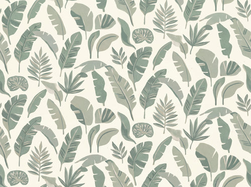 Glasshouse, Sage sample on the real paper