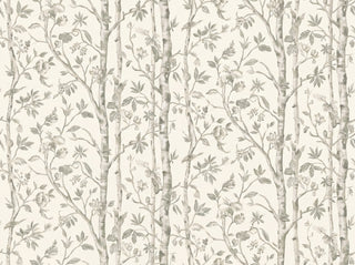 Birket, Sage sample