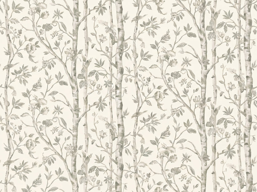 Birket, Sage, preview of the area printed on your wall