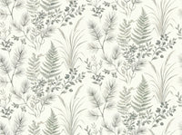 Sage Forest Botanical Mural design