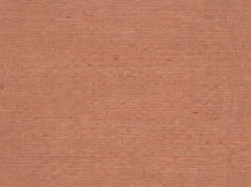 Washi, Terracotta sample on the real paper